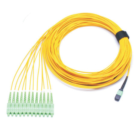 Manutenção programada MPO da fibra ótica MPO OFNR do UPC ao conector do SC do FANOUT do LC 12F